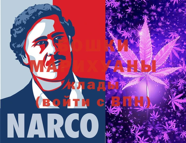 spice Алзамай