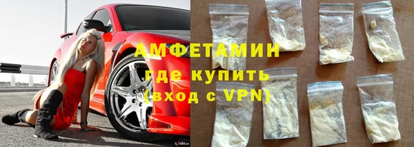 мет Алексин