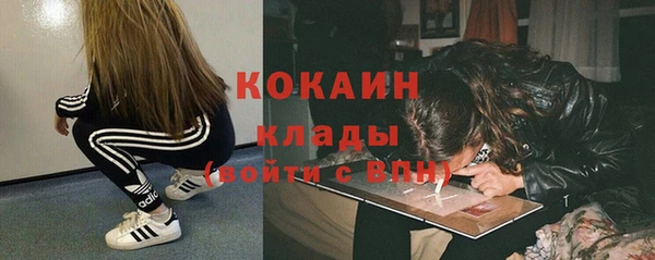 мет Алексин