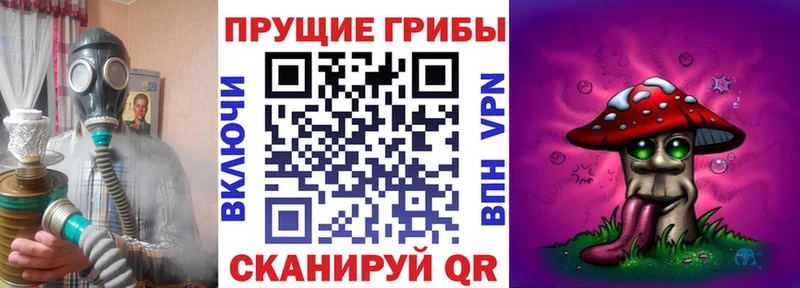Галлюциногенные грибы Cubensis  omg ТОР  Томилино 